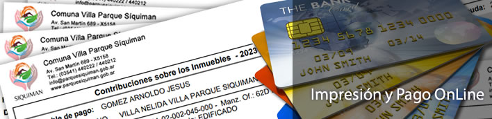 Impresin y Pago online de deudas